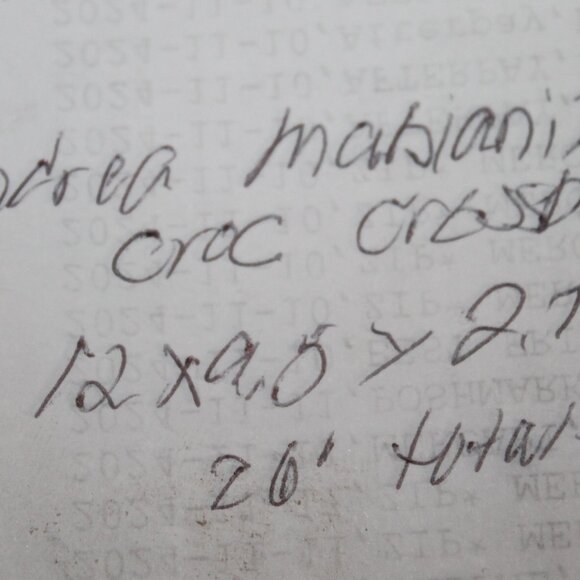 Exotic $649 Andrea Mabiani Italy Rich Alligator Hobo Shoulder Bag Purse - Picture 11 of 11